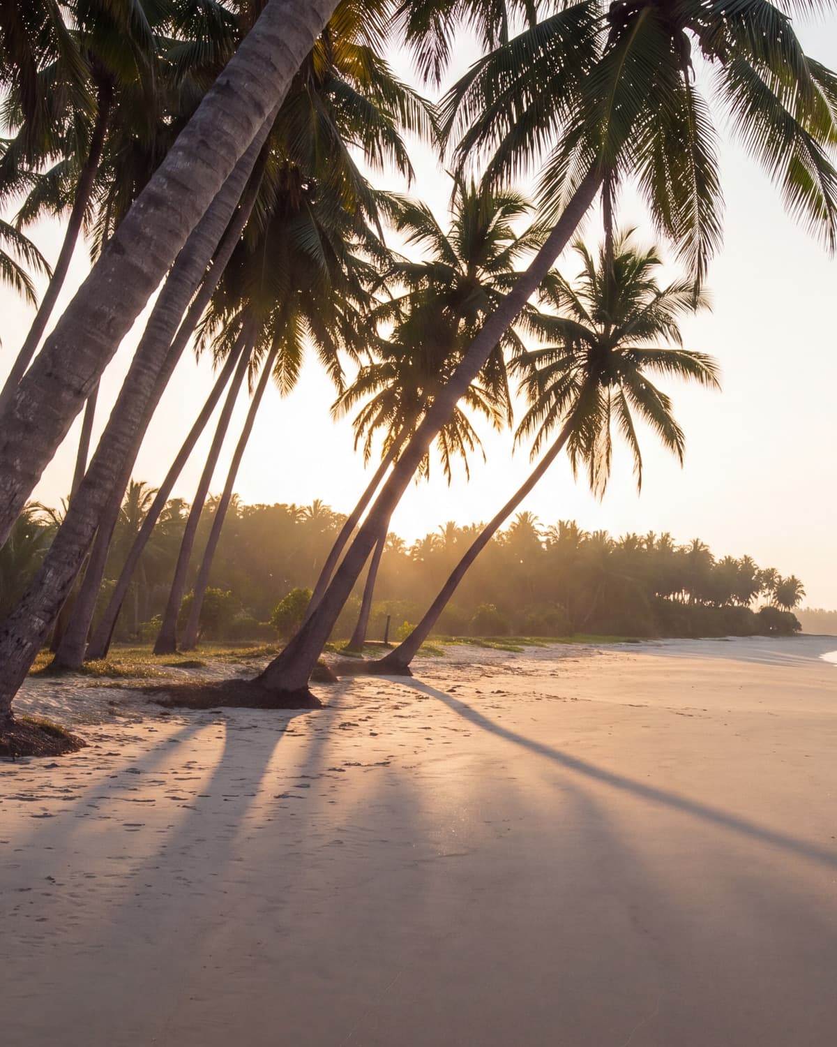 Coast, Two shores, always in season