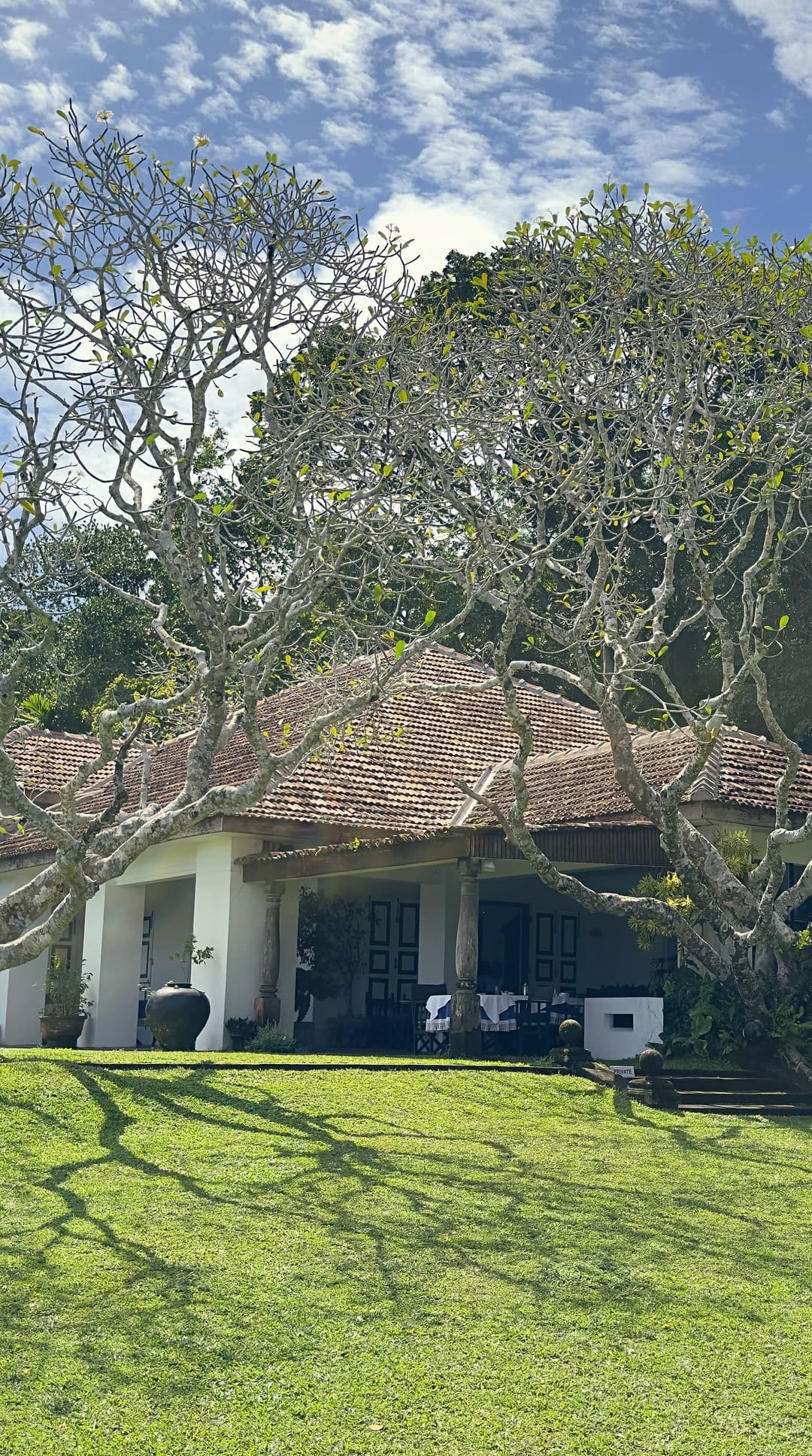 Geoffrey Bawa's bungalow at Lunuganga, near Bentota, under 2 great frangipani trees, with a lawn in front