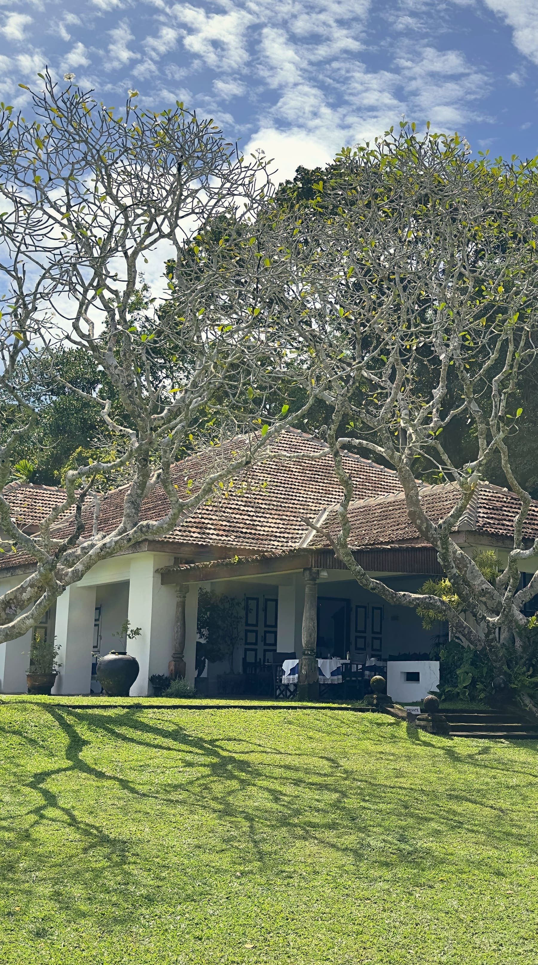 Geoffrey Bawa's bungalow at Lunuganga, near Bentota, under 2 great frangipani trees, with a lawn in front