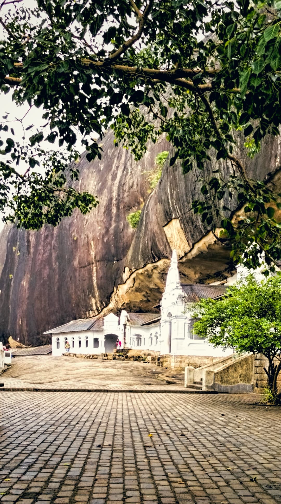 The white colonnade of the Dambulla cave temple under the overhang of its rock, with a small stupa and a tree before it