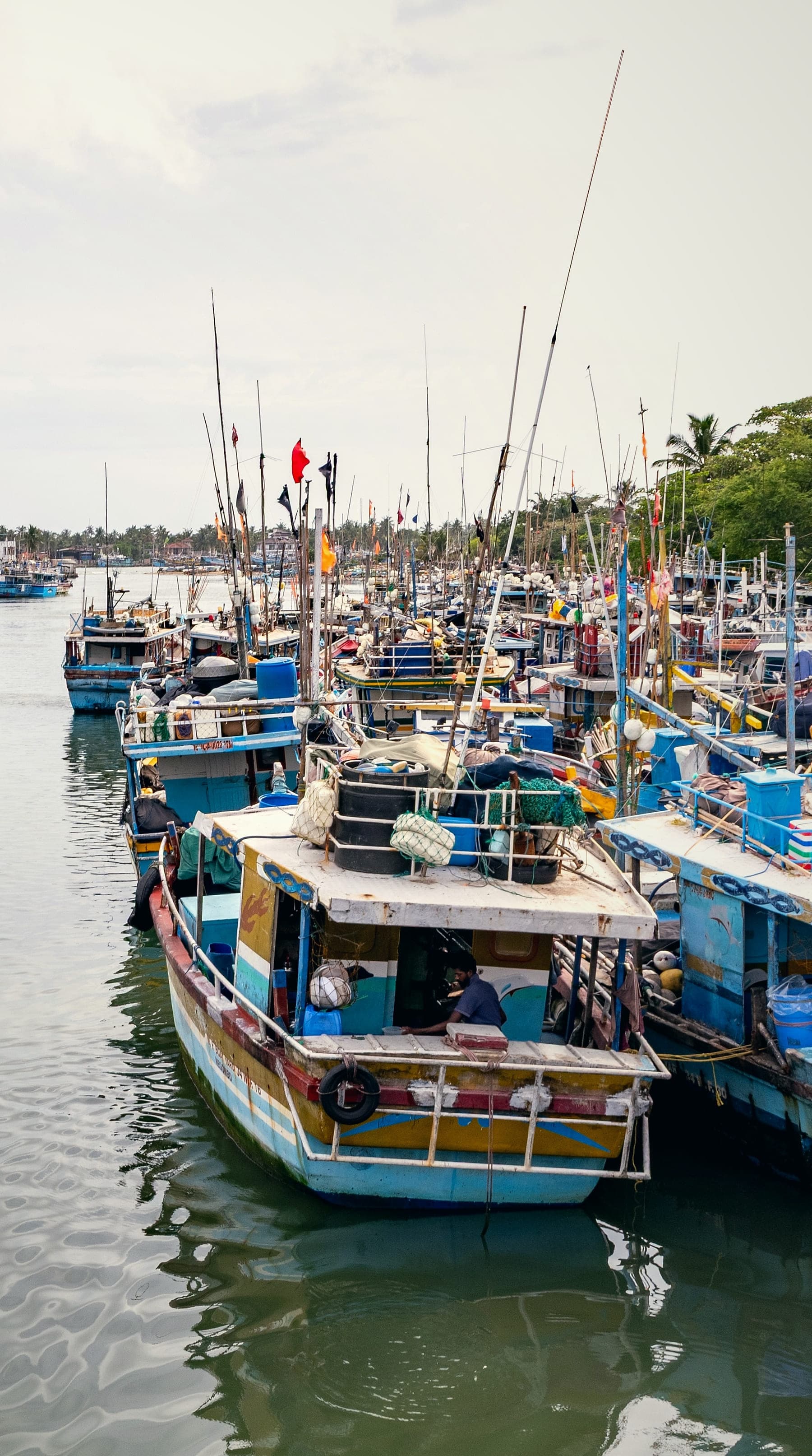 The Negombo lagoon channel lined on both sides with painted fishing boats, their masts and flags against a pale sky